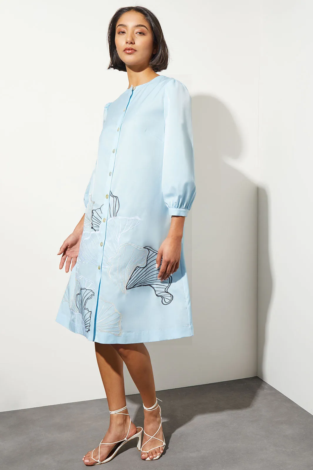 Floral Embroidered Button-Front Stretch Cotton Shirt Dress, Haze